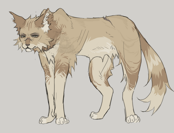 sketch example 4